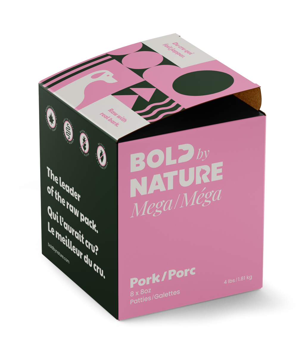 Bold by Nature Dog Mega Pork Patties