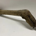 Buddies Emu Leg with Foot