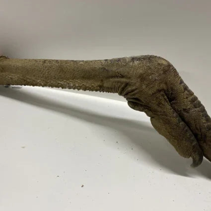 Buddies Emu Leg with Foot